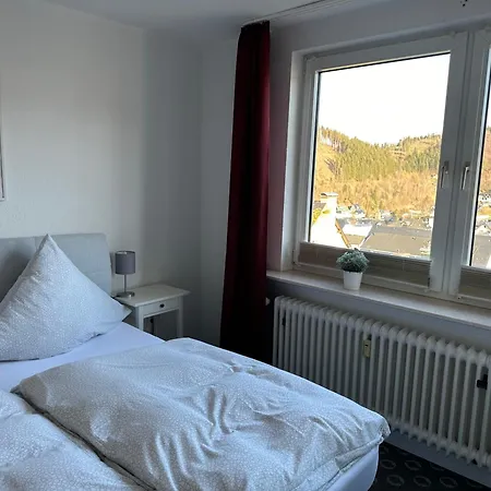 Loewenstein Apartmán Willingen (Upland)