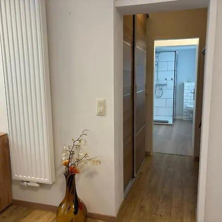 Loewenstein Apartmán Willingen (Upland)