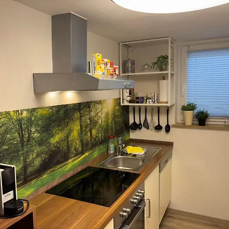 Loewenstein Apartmán *